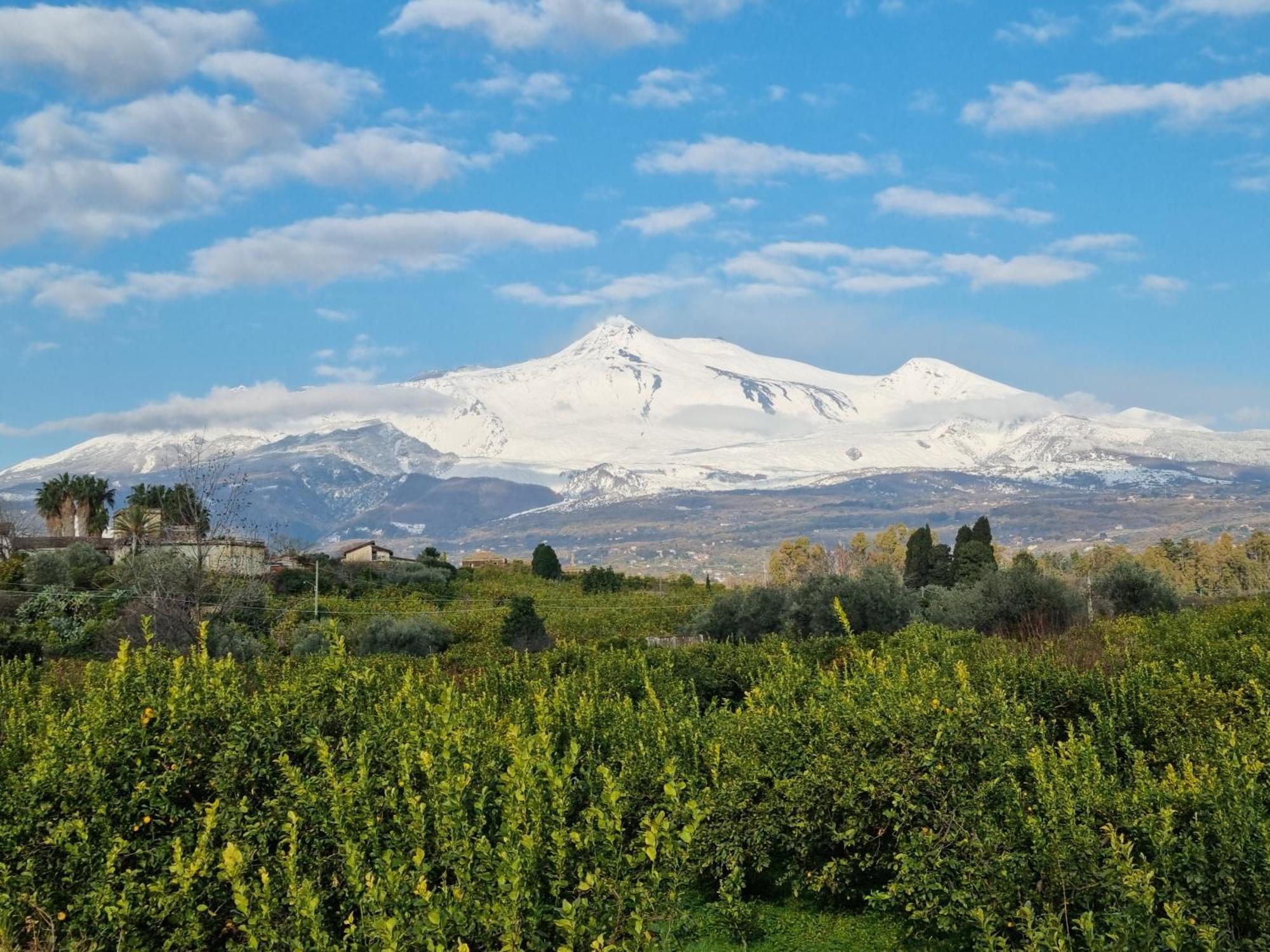 Luxury Relaxing Home With Heated Pool Near Catania, Taormina, The Sea And Mount Etna Giarre Bagian luar foto